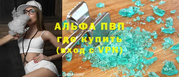 стаф Каменск-Шахтинский