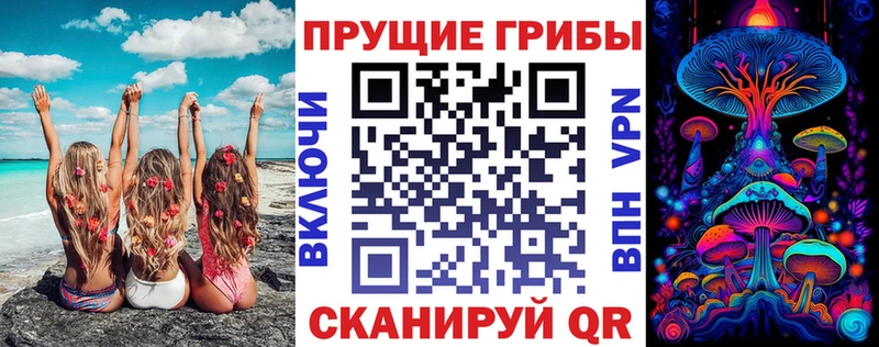 наркота  Мамоново  Псилоцибиновые грибы Psilocybe 